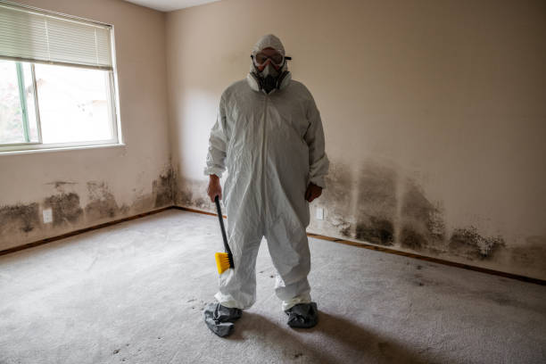 Office Mold Removal Services in Morrow, GA