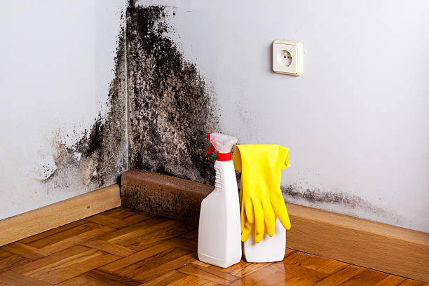 Best Crawl Space Mold Removal  in Morrow, GA